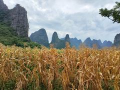 -钟山水墨田园