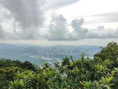 -梧桐山风景名胜区