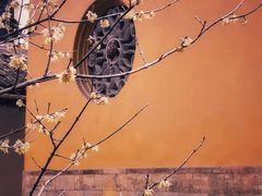 -西园戒幢律寺