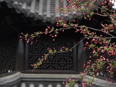 -莫愁湖公园
