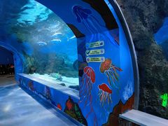 -常州海昌海洋探索馆