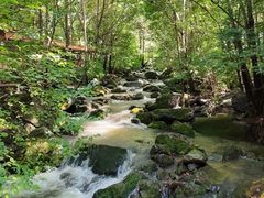 -香炉山国家森林公园