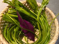 -季季山·云南野生菌火锅(上海首店)
