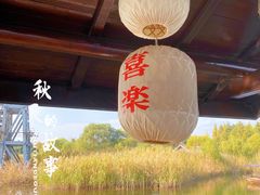 -苏州太湖湖滨国家湿地公园