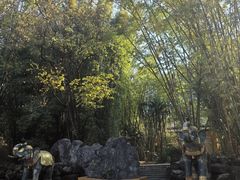 -云南勐巴娜西珍奇园