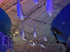 -烟台海昌鲸鲨海洋公园