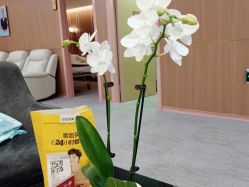 -深圳艺星医疗美容医院