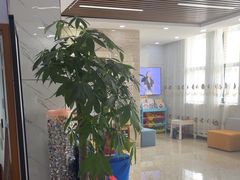 -茂菊口腔连锁(浦东南路店)