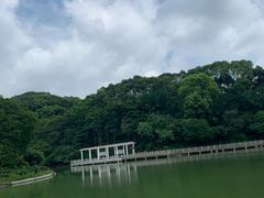 -广州市帽峰山景区