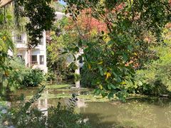 -中国科学院西双版纳热带植物园