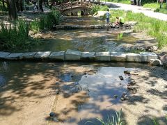 -白水寺森林公园