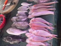 -霞涌市场海鲜摆卖区