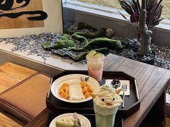 -星多哈·狗咖·拼豆·咖啡