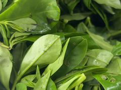 -芦茨金富饭庄·25年老字号·专做稻草鸡