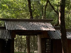 -兰亭风景区
