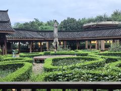 -青城山六善酒店·紫氣園中餐厅