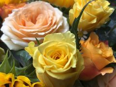 -槿妍花舍花艺生活馆(世纪港湾店)