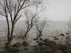 -上海吴淞炮台湾国家湿地公园