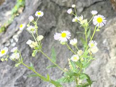 -南山风景名胜区