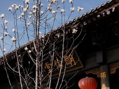 -白鹿原影视城