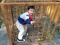 -北京麋鹿生态实验中心
