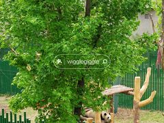 -沈阳森林动物园