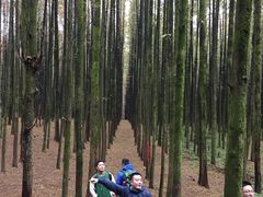 -山王坪喀斯特国家生态公园