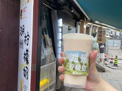 -猫的魔法密林(衣裳街店)