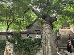 -青岛崂山太清宫