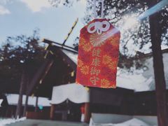-北海道神宫