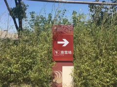 -江南天池