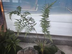 -华夏良子·足道SPA养生(上海崮山路明悦店)