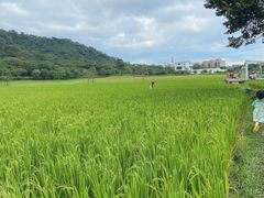 -艾米稻香小镇