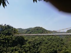 -川西竹海景区