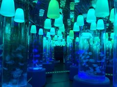 -欢乐海岸海洋奇梦馆