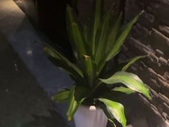 -臻享养生·SPA·影院式足道(汇臻店)