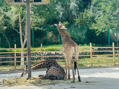 -水上乐园·欢乐世界