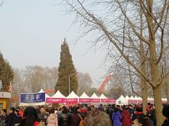 -朝阳公园游乐园