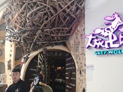 -大灰狼(中心书城店)