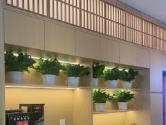 -舒来喜鱼锅(伊河路店)
