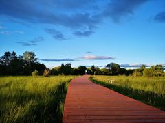 -塞罕坝国家级自然保护区