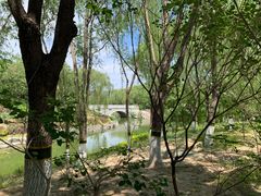 -大兴滨河森林公园