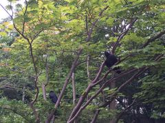 -北海道厅旧本厅舍(旧本庁舎)