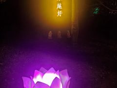 -印象普陀