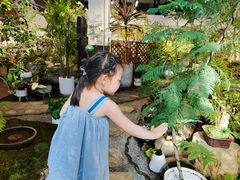 -双季花艺园艺市场(浦东店)