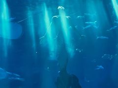 -南昌融创海世界