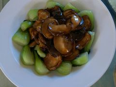 -6号瓦房露营烤场