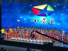 -小荧星艺校(浦东中环分校)