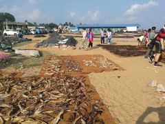 -尼甘布海鲜市场