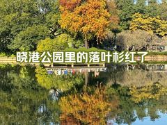 -晓港公园